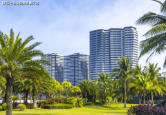 <b>种植银海枣、大王椰等热带植</b>